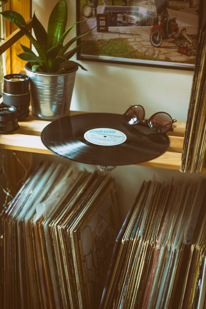 vinyl disc on top of shelf